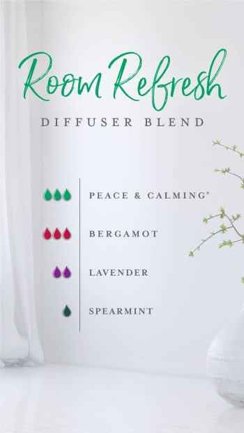 Room Refresh Diffuser Blend • Abundance in Simplicity