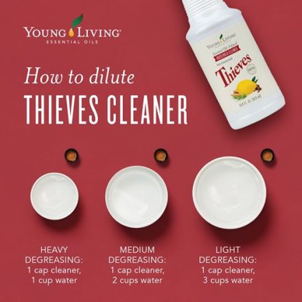 How to Dilute Thieves Household Cleaner • Abundance in Simplicity